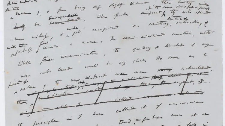 Darwin's Great Accident: How 'On the Origin of Species' Was Sharpened by Haste