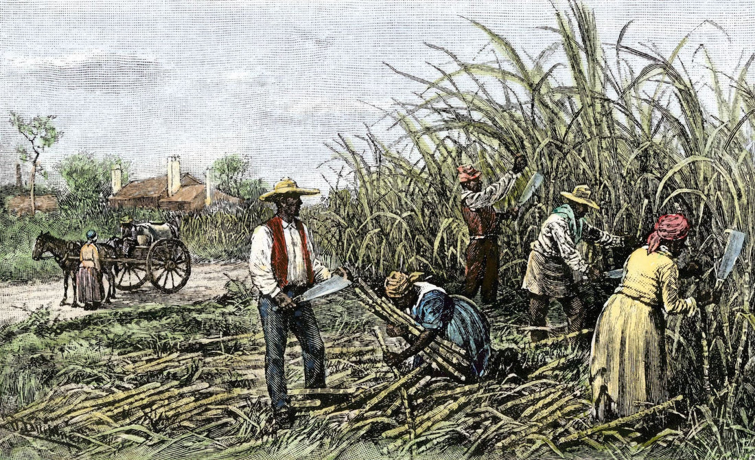 Harriet Beecher Stowe: The Author of Uncle Tom's Cabin, the Book that Fueled a War