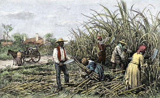 Harriet Beecher Stowe: The Author of Uncle Tom's Cabin, the Book that Fueled a War