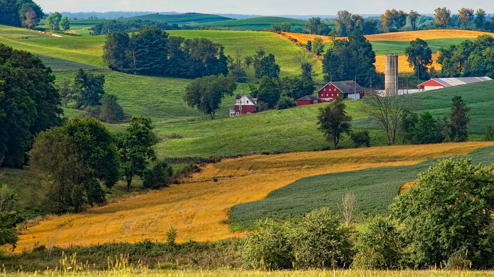 One Perfect Book: How Sherwood Anderson's 'Winesburg, Ohio' Redefined the Novel and Silenced Its Author
