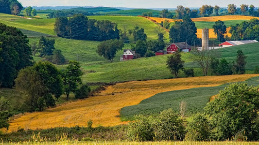 One Perfect Book: How Sherwood Anderson's 'Winesburg, Ohio' Redefined the Novel and Silenced Its Author