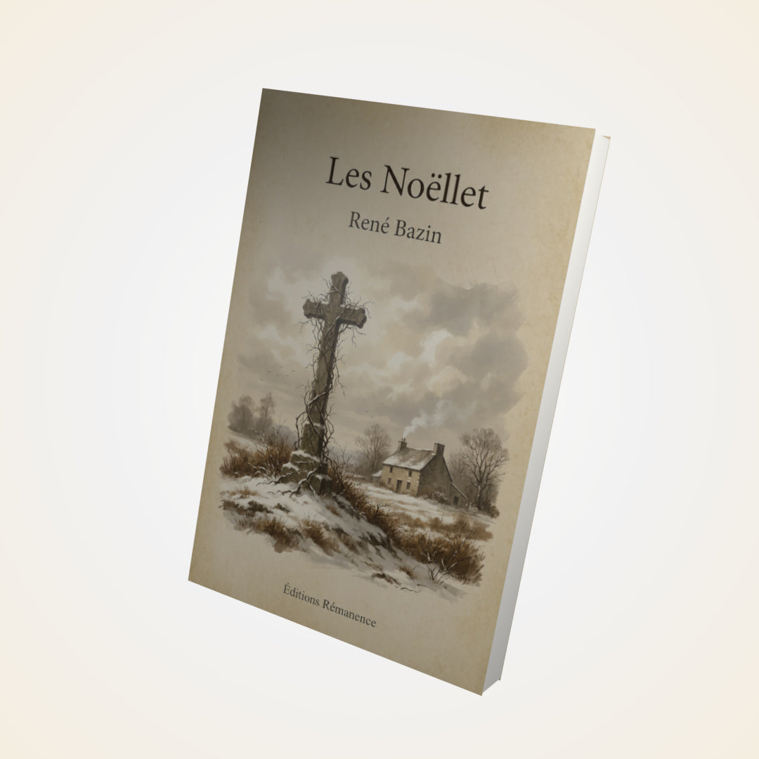 Livre Les Noëllet – René Bazin - Couverture 3D