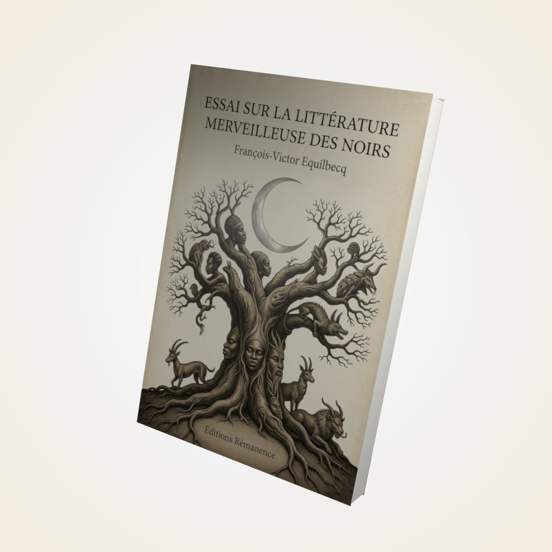 Livre Essai sur la littérature merveilleuse des noirs - François-Victor Equilbecq - Couverture 3D