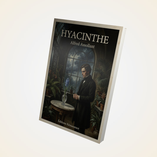 Livre Hyacinthe - Alfred Assollant - Couverture 3D