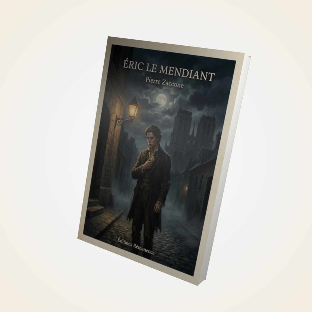 Livre Éric le Mendiant - Pierre Zaccone - Couverture 3D