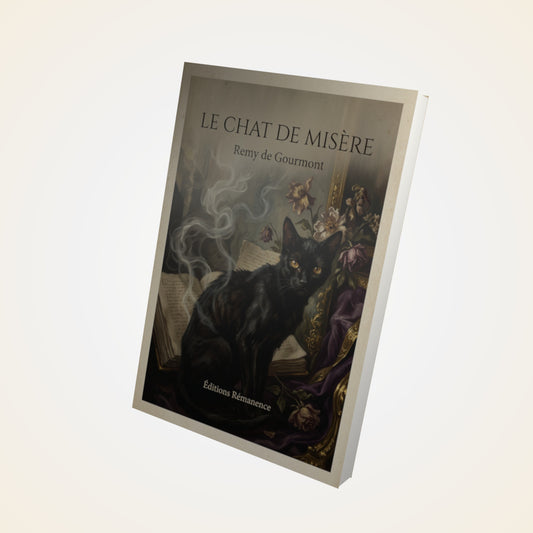 Livre Le chat de misère - Remy de Gourmont - Couverture 3D