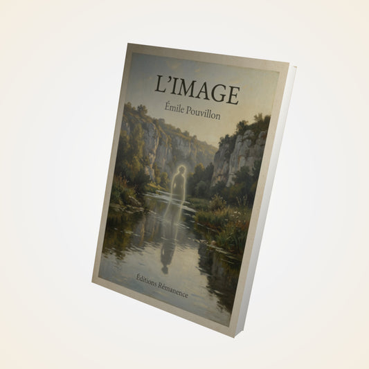 Livre L'image - Émile Pouvillon - Couverture 3D