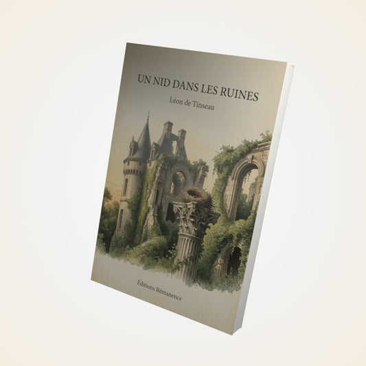 Livre Un nid dans les ruines - Léon de Tinseau - Couverture 3D