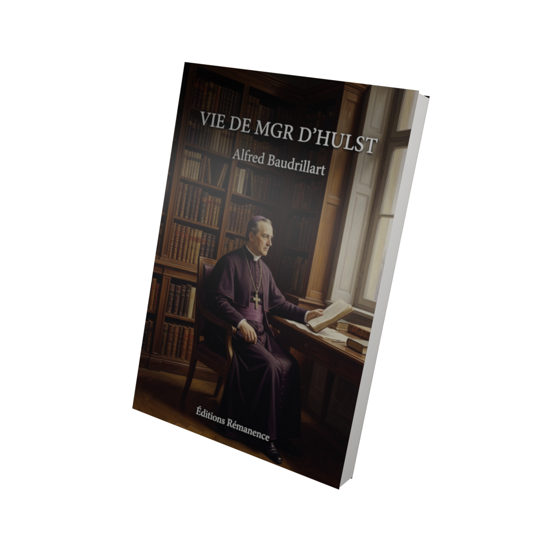 Vie de Mgr d'Hulst - Alfred Baudrillart (Vue 3D)