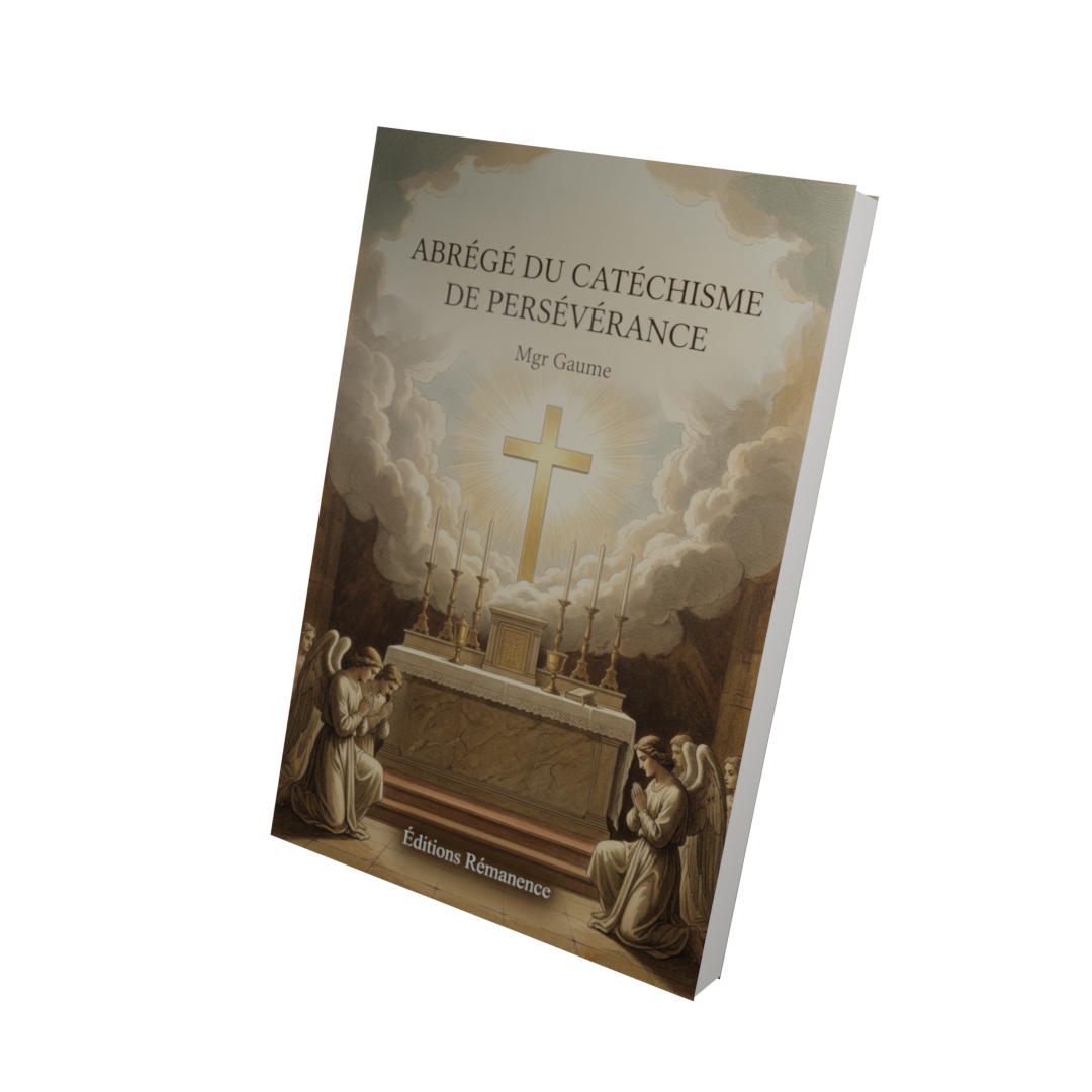 Abrégé du catéchisme de persévérance - Mgr Gaume (Vue 3D)