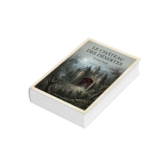 Le château des Désertes - George Sand (Vue 3D)