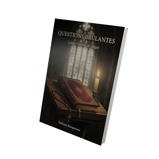 Questions brûlantes - Louis-Gaston de Ségur (Vue 3D)