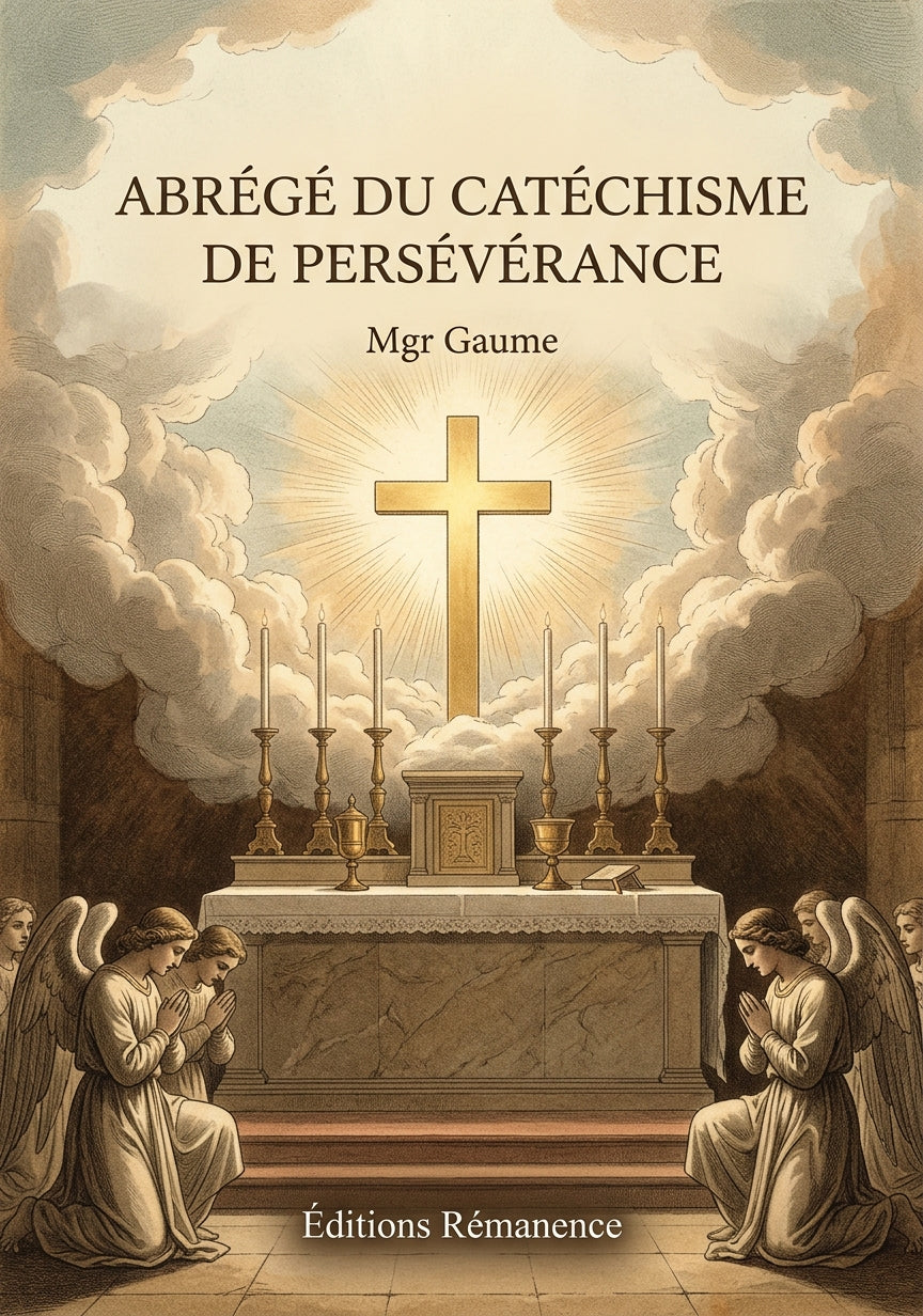Abrégé du catéchisme de persévérance - Mgr Gaume (Couverture)