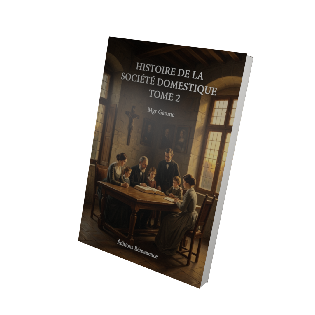 Histoire de la société domestique Tome 2 - Mgr Gaume (Vue 3D)