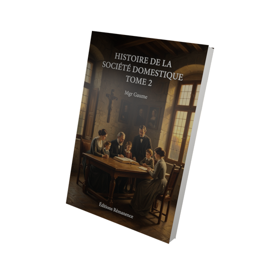 Histoire de la société domestique Tome 2 - Mgr Gaume (Vue 3D)
