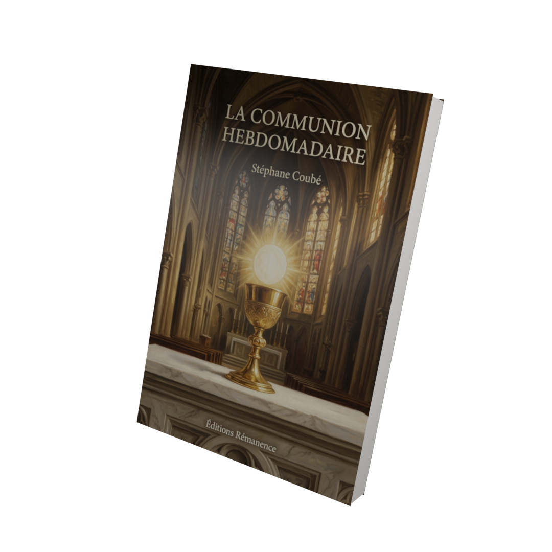La communion hebdomadaire - Stéphane Coubé (Vue 3D)