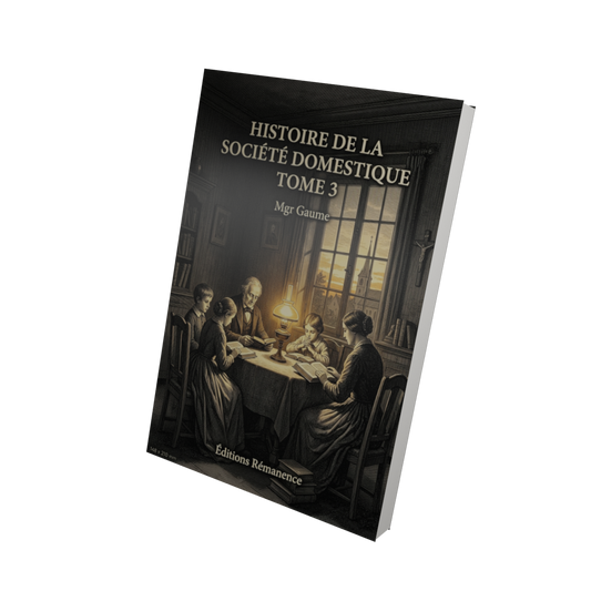 Histoire de la société domestique Tome 3 - Mgr Gaume (Vue 3D)