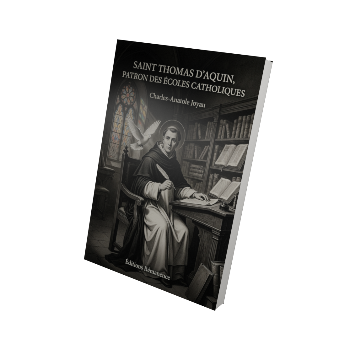 Saint Thomas d'Aquin, patron des écoles catholiques - Charles-Anatole Joyau (Vue 3D)