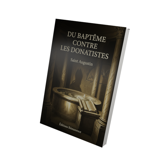 Du baptême contre les donatistes - Saint Augustin (Vue 3D)