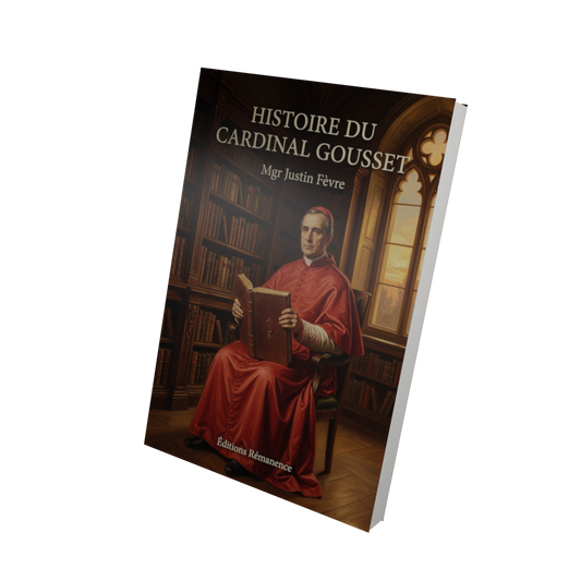 Histoire du cardinal Gousset - Mgr Justin Fèvre (Vue 3D)