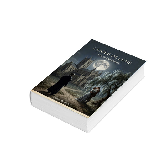 Claire de Lune - Guy de Maupassant (Vue 3D)