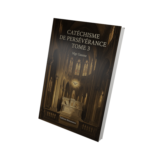 Catéchisme de persévérance Tome 3 - Mgr Gaume (Vue 3D)