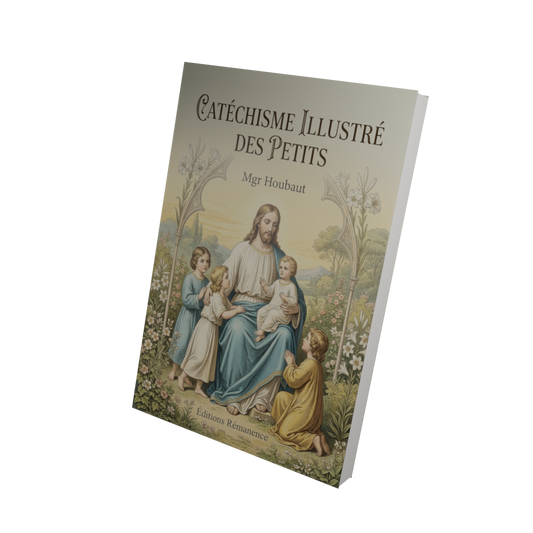 Catéchisme illustré des petits - Mgr Houbaut (Vue 3D)