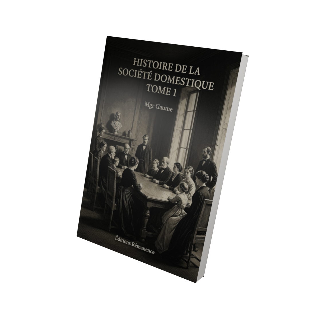 Histoire de la société domestique Tome 1 - Mgr Gaume (Vue 3D)