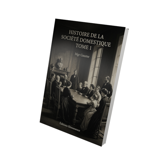 Histoire de la société domestique Tome 1 - Mgr Gaume (Vue 3D)