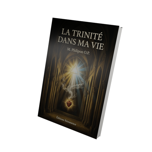La Trinité dans ma vie - M. Philipon O.P. (Vue 3D)