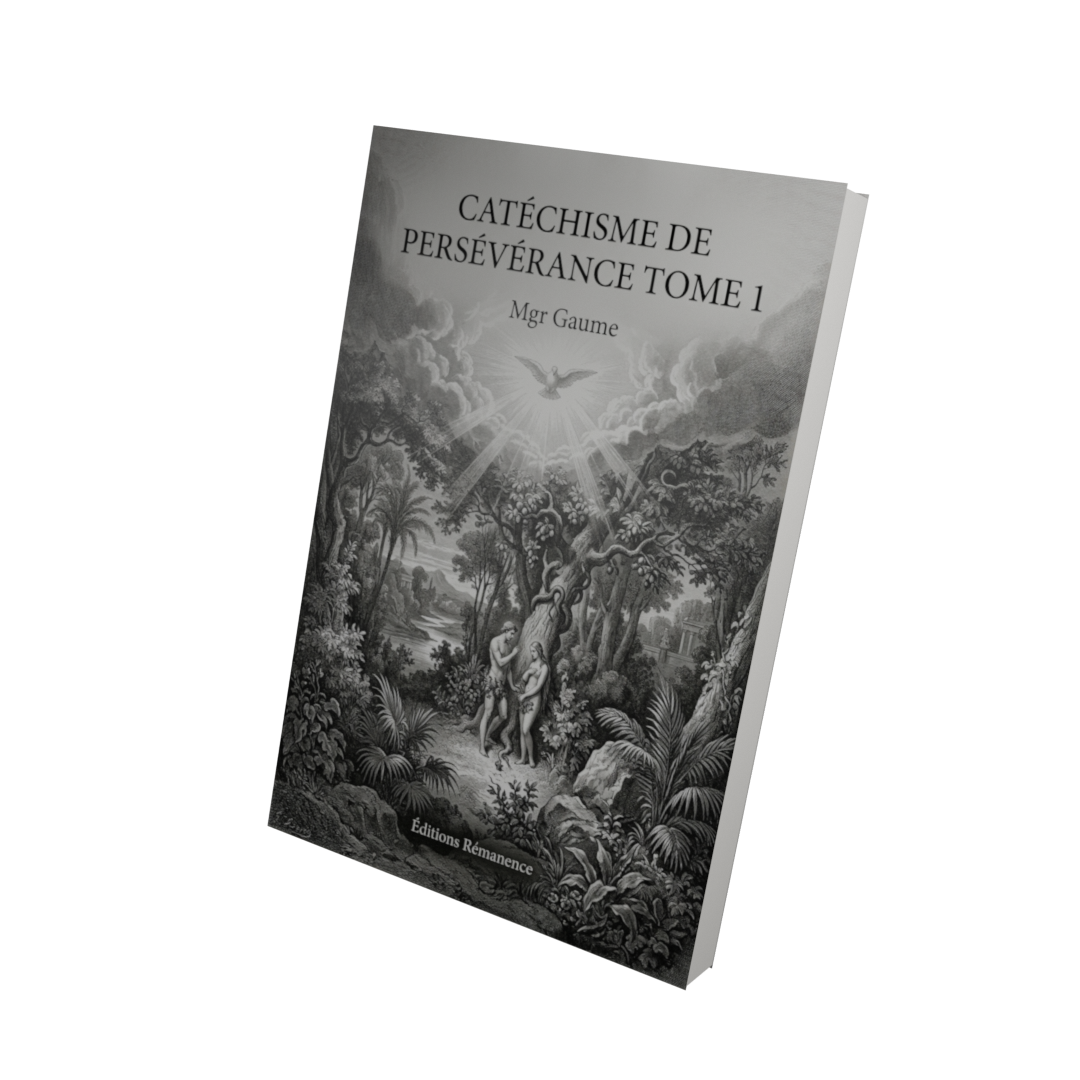 Catéchisme de persévérance Tome 1 - Mgr Gaume (Vue 3D)