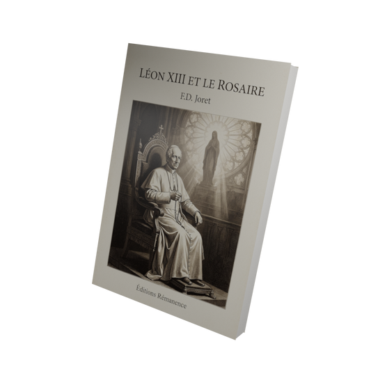 Léon XIII et le rosaire - F.D. Joret (Vue 3D)