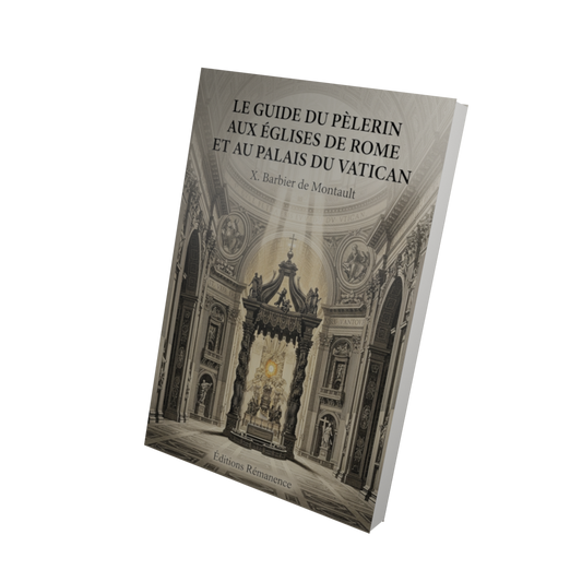 Le guide du pèlerin aux églises de Rome et au palais du Vatican - X. Barbier de Montault (Vue 3D)