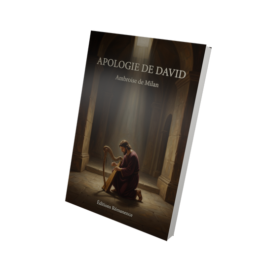 Apologie de David - Ambroise de Milan (Vue 3D)