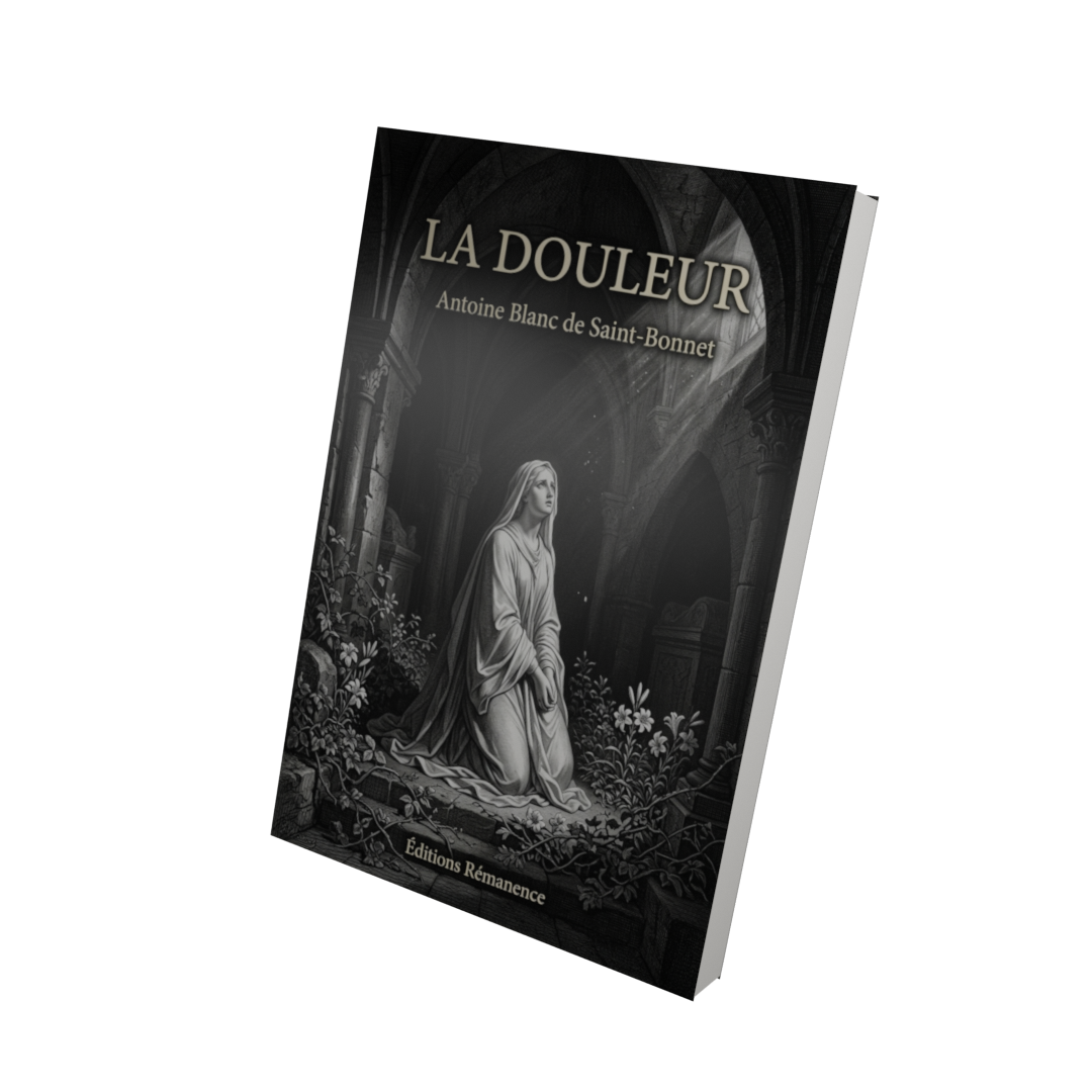 La douleur - Antoine Blanc de Saint-Bonnet (Vue 3D)