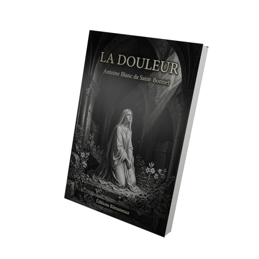 La douleur - Antoine Blanc de Saint-Bonnet (Vue 3D)