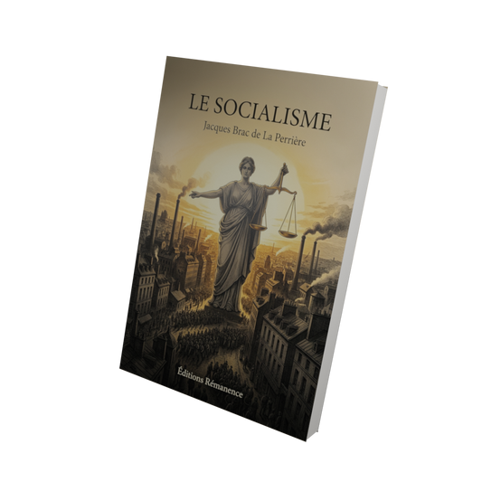 Le socialisme - Jacques Brac de La Perrière (Vue 3D)