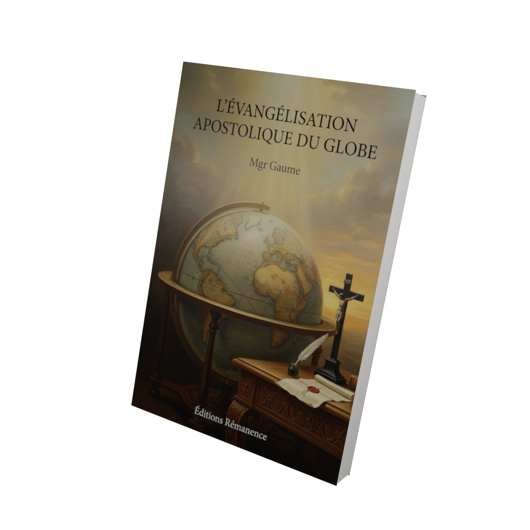 L'évangélisation apostolique du globe - Mgr Gaume (Vue 3D)