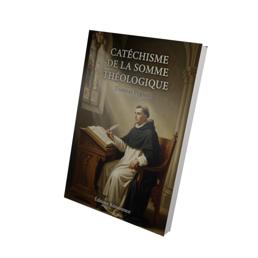Catéchisme de la Somme théologique - Thomas Pègues (Vue 3D)