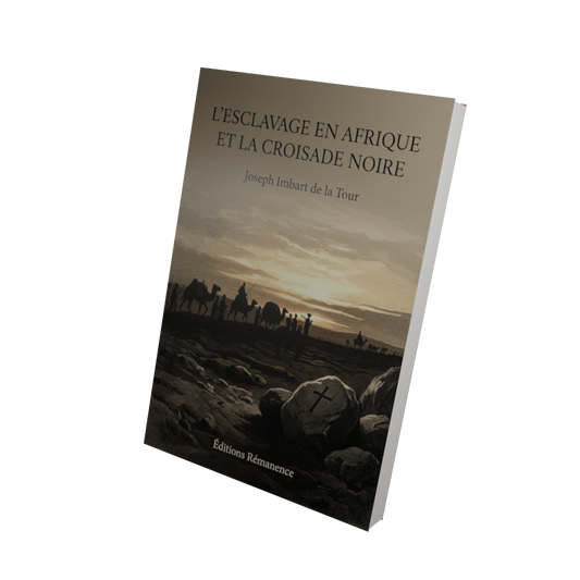 L'esclavage en Afrique et la croisade noire - Joseph Imbart de la Tour (Vue 3D)
