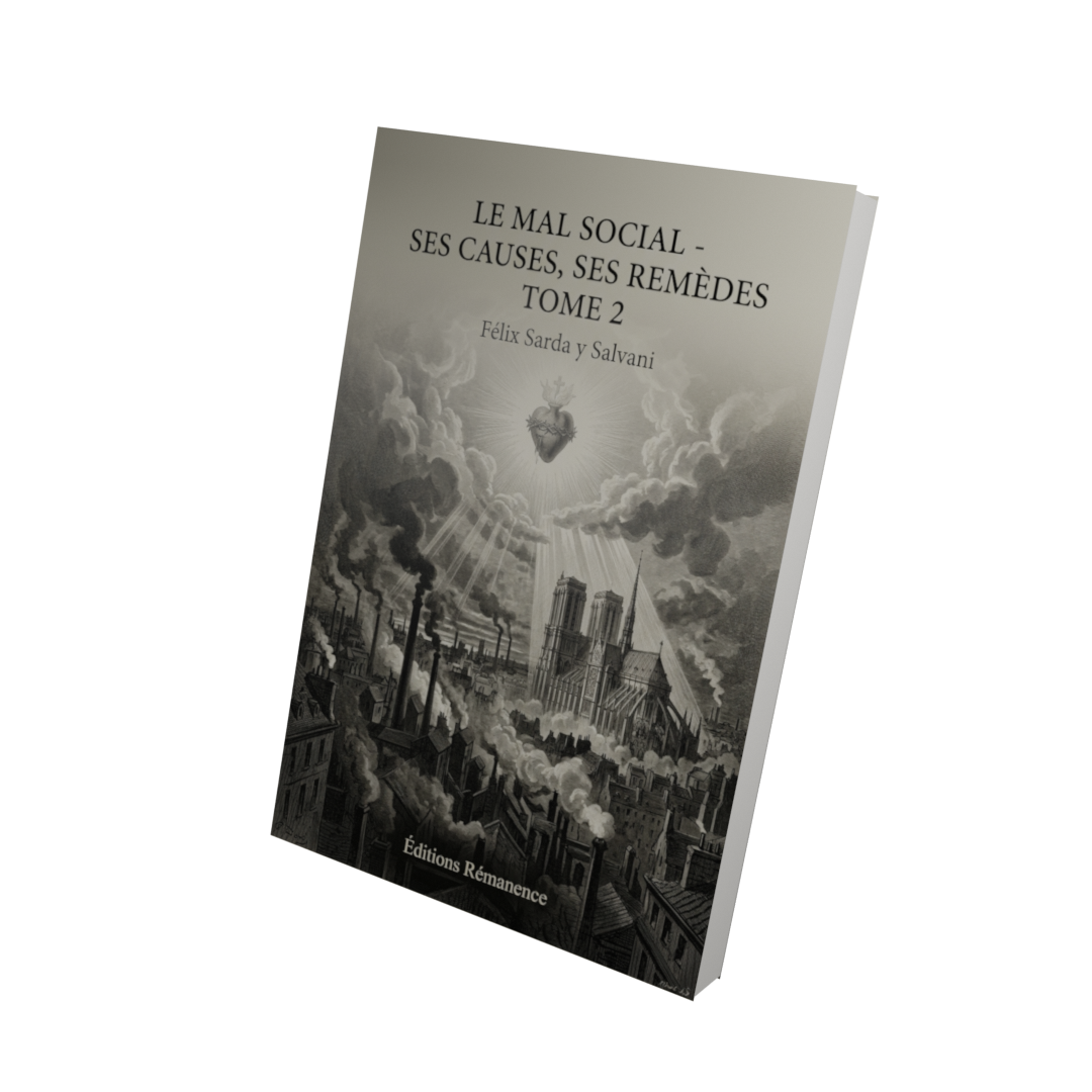 Le mal social - ses causes, ses remèdes Tome 2 - Félix Sarda y Salvani (Vue 3D)