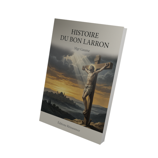 Histoire du bon larron - Mgr Gaume (Vue 3D)