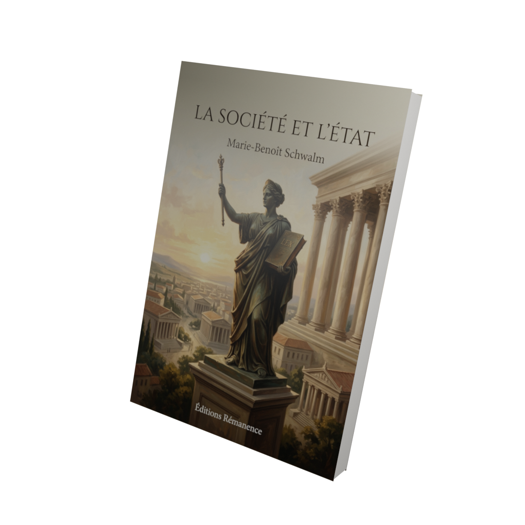La société et l'État - Marie-Benoît Schwalm (Vue 3D)