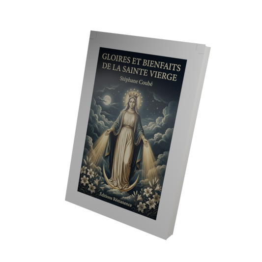Gloires et bienfaits de la Sainte Vierge - Stéphane Coubé (Vue 3D)