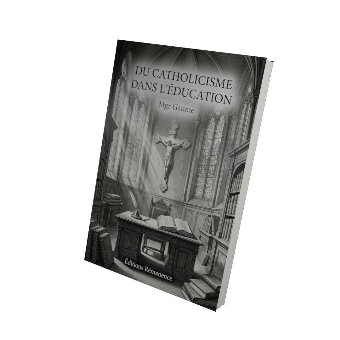 Du catholicisme dans l'éducation - Mgr Gaume (Vue 3D)