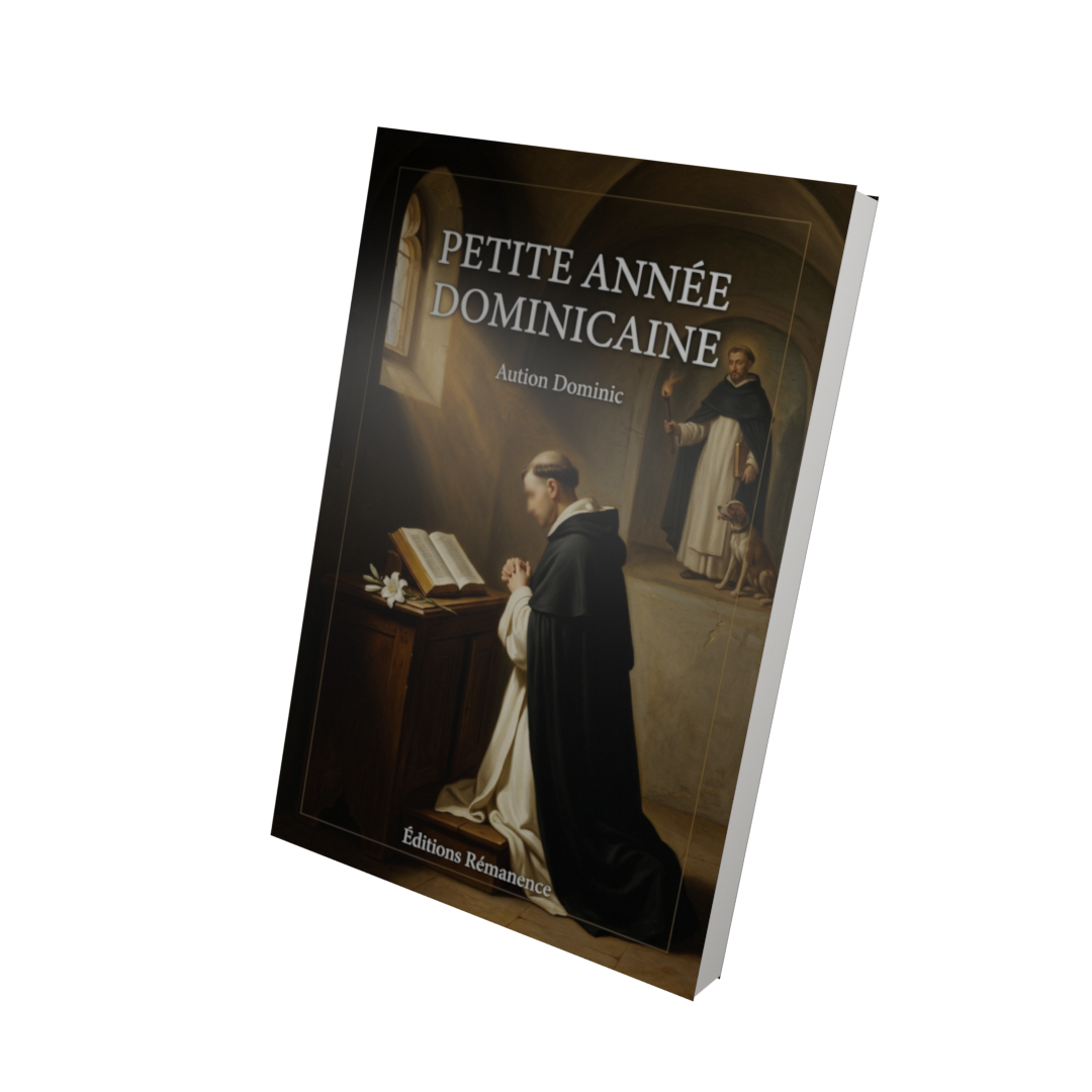Petite année dominicaine -  (Vue 3D)