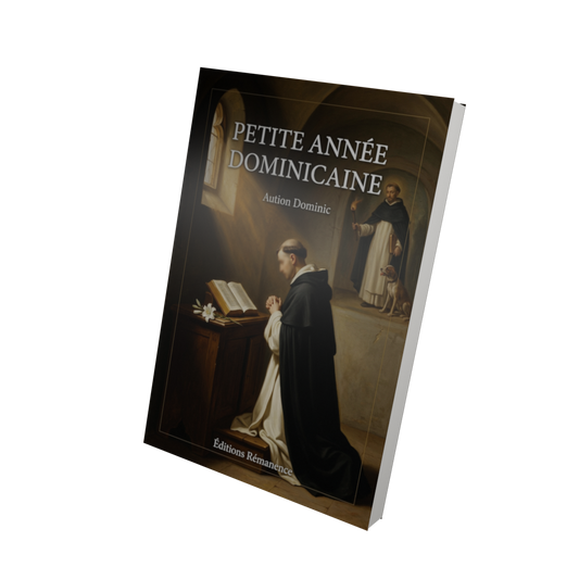 Petite année dominicaine -  (Vue 3D)