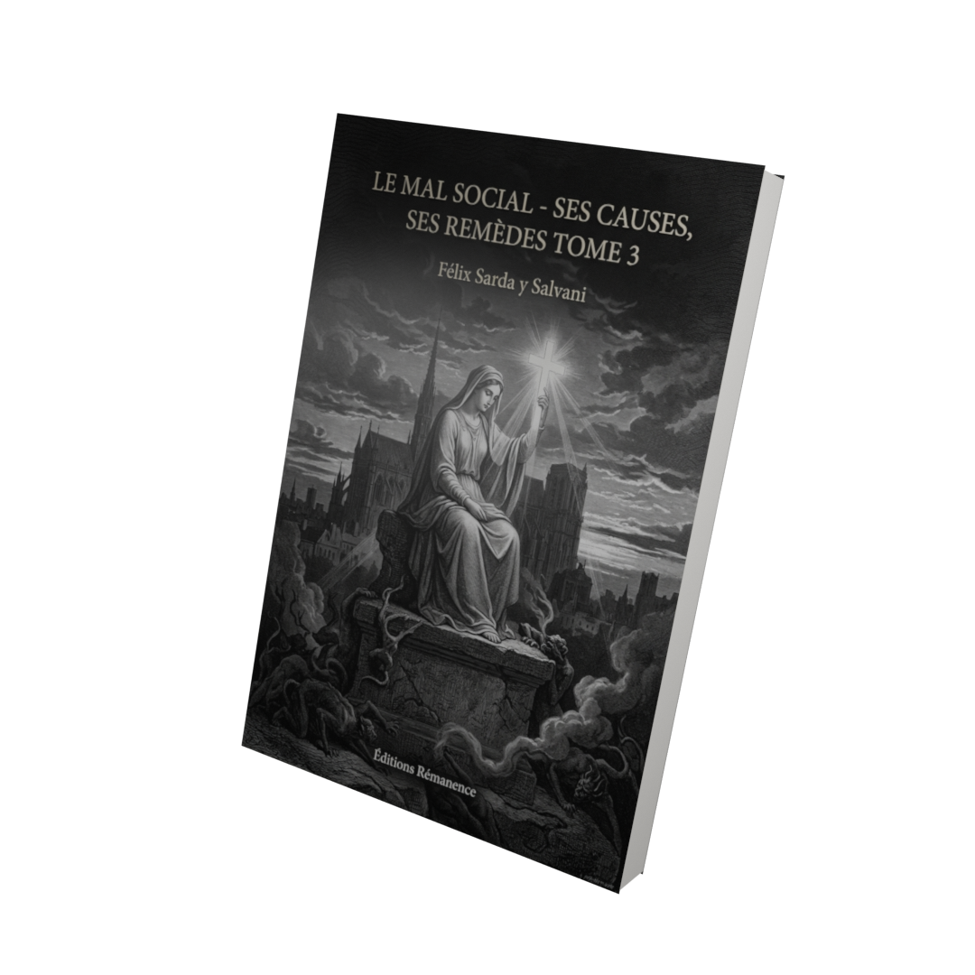 Le mal social - ses causes, ses remèdes Tome 3 - Félix Sarda y Salvani (Vue 3D)