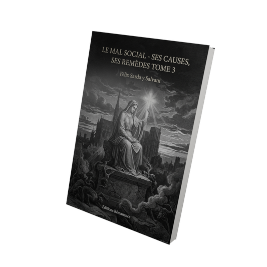 Le mal social - ses causes, ses remèdes Tome 3 - Félix Sarda y Salvani (Vue 3D)