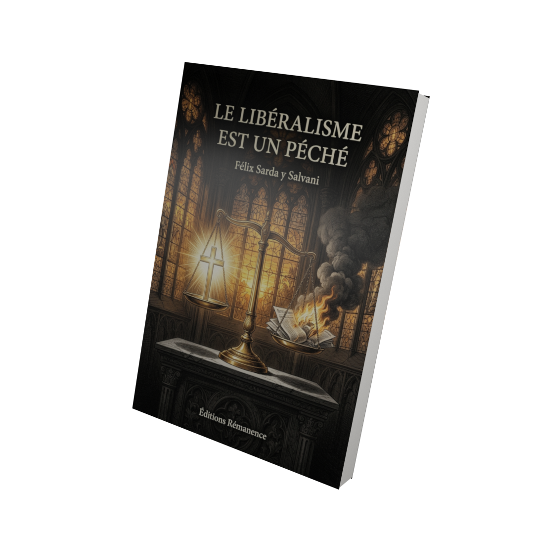 Le libéralisme est un péché - Félix Sarda y Salvani (Vue 3D)